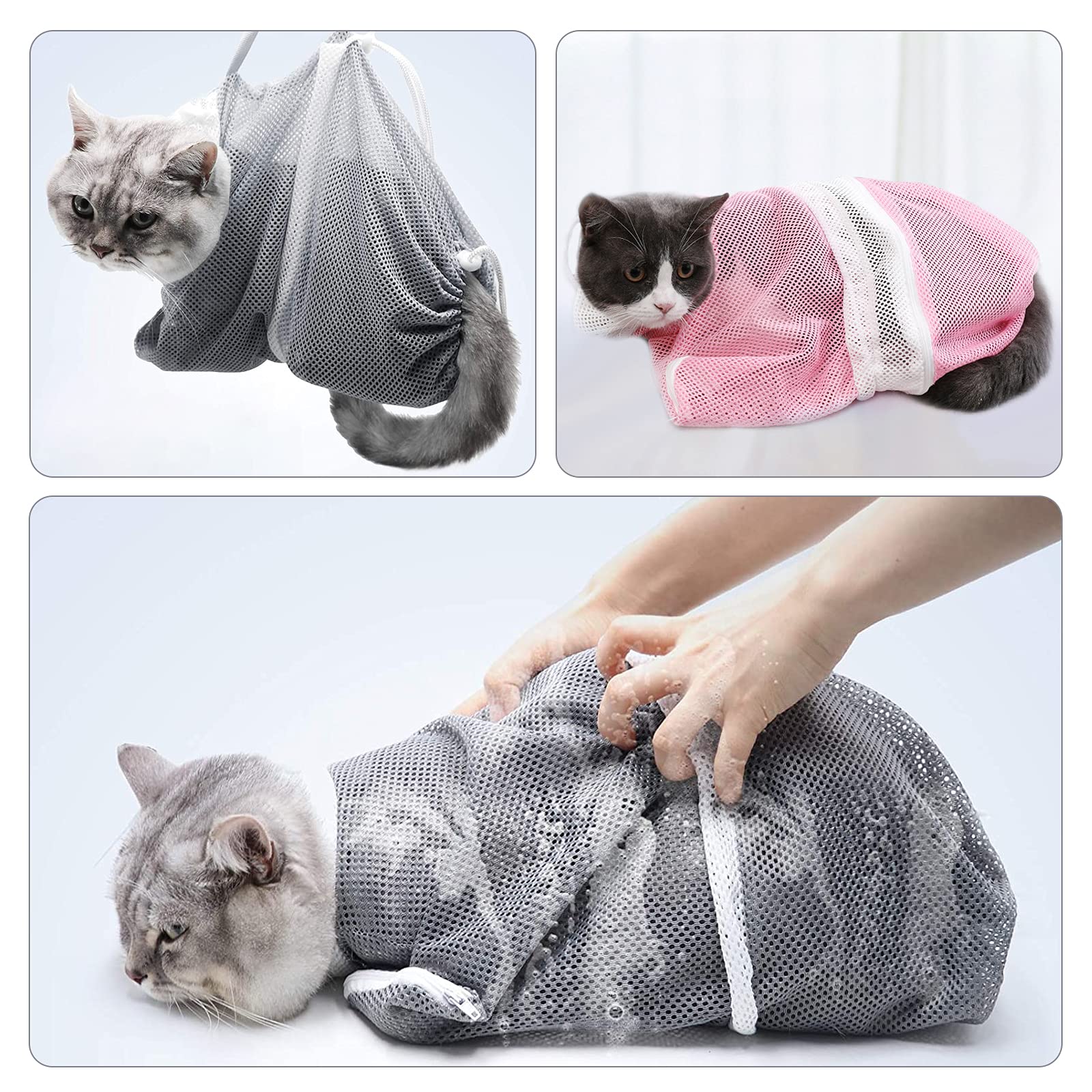 EOMTUR comparaison taille du sac adaptée à la plupart des chats