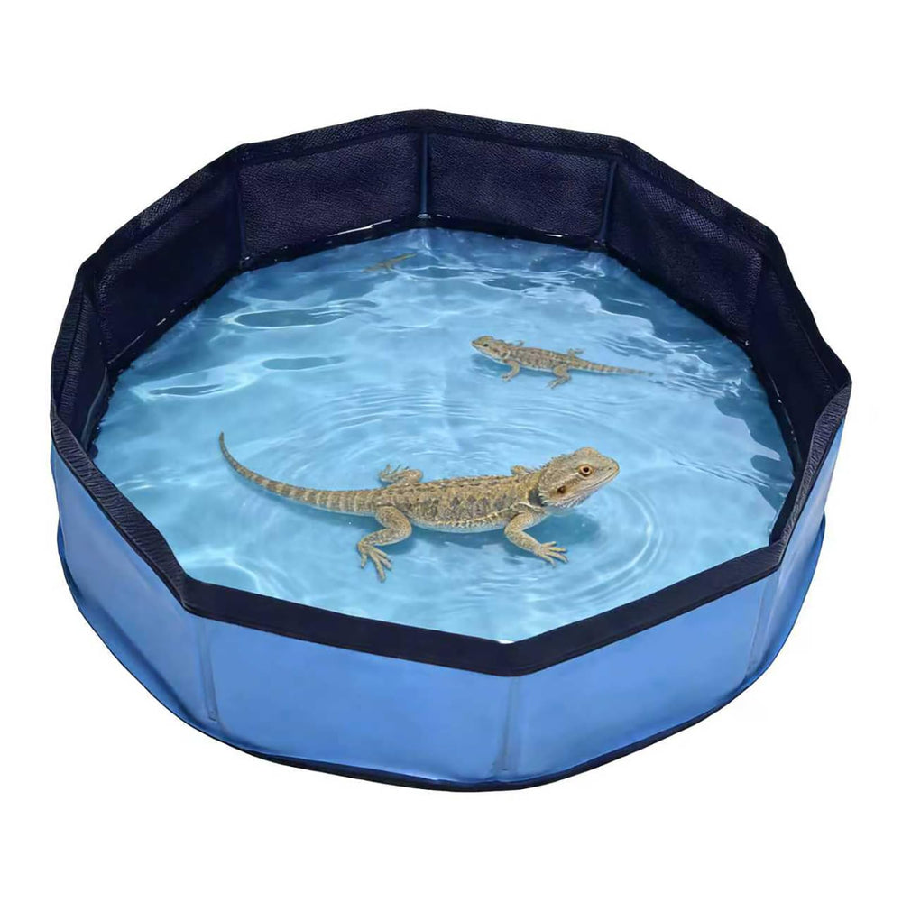 Eooqi bassin face avant bleu montrant design compact et stable