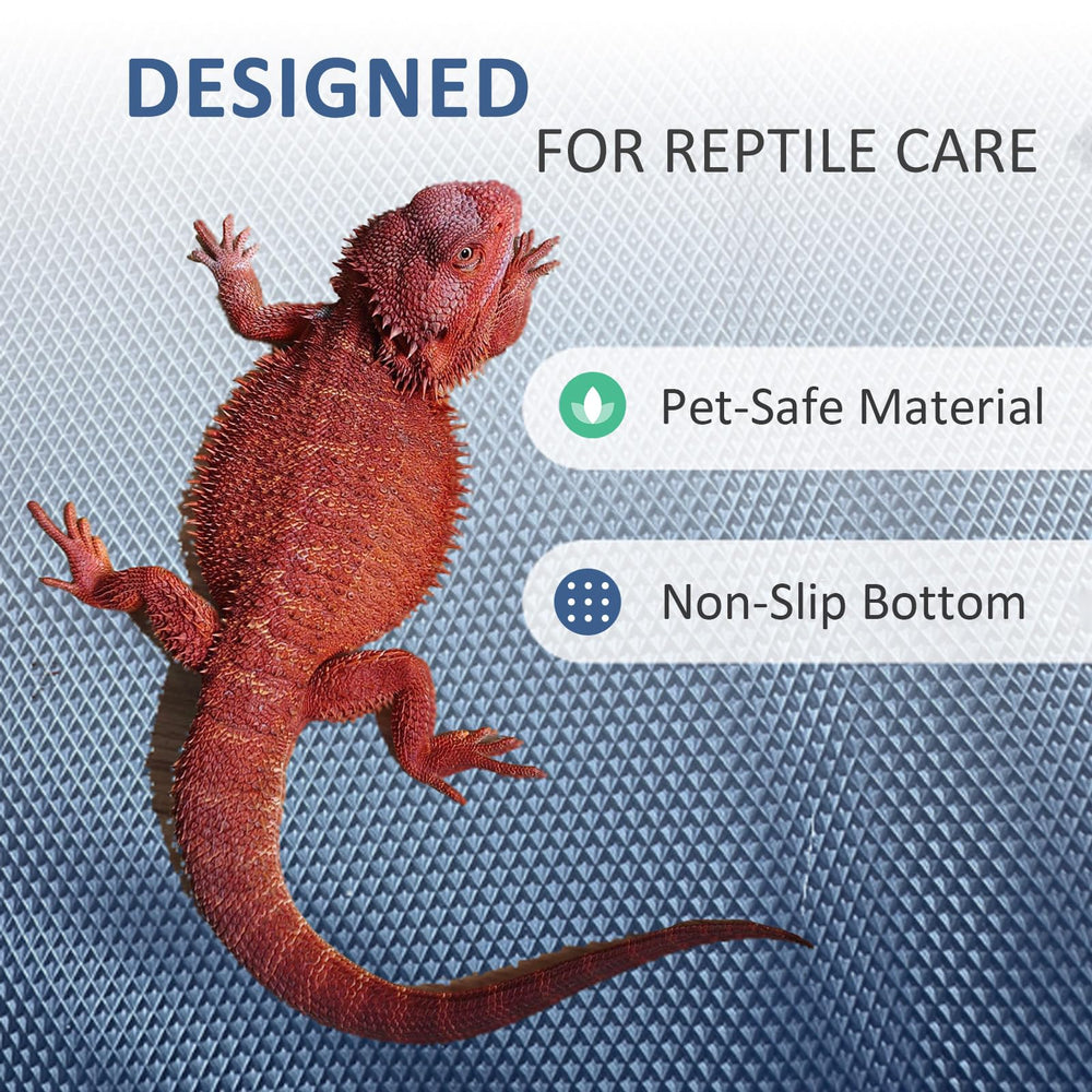 Eooqi bassin accueillant petit chien pour un bain confortable