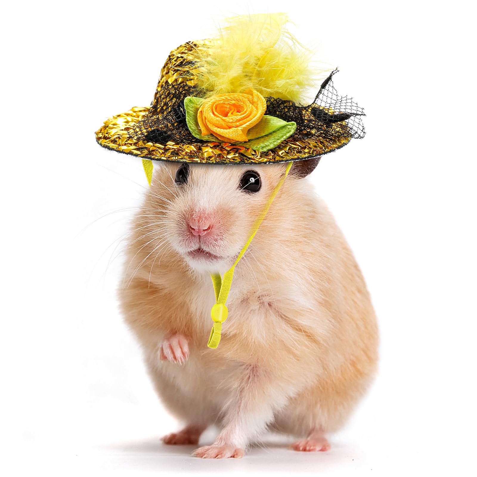 Eorbow chapeau porté par une poule illustrant confort et tenue sûre