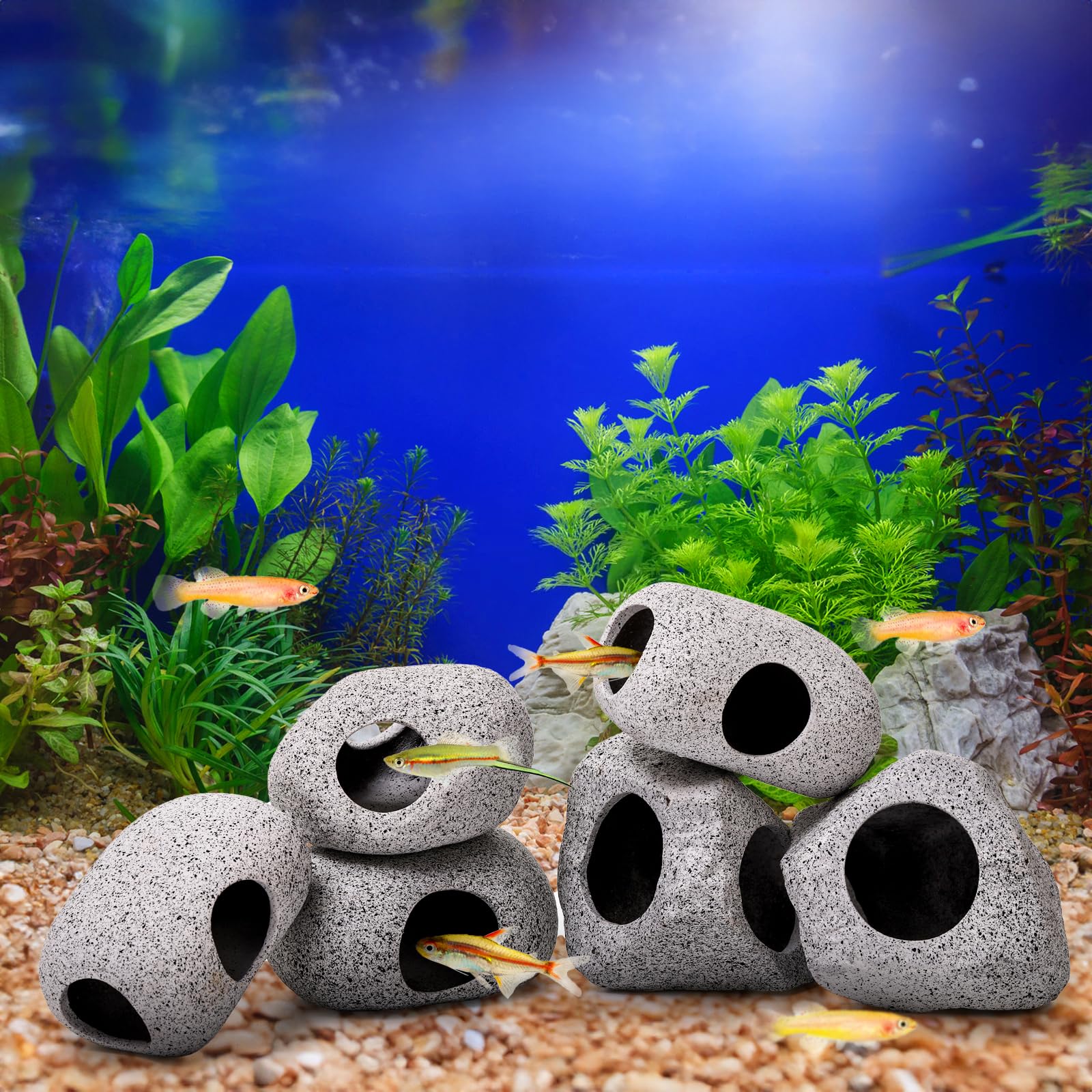 Eorbow intégration dans décor aquatique végétalisé, aspect naturel attractif