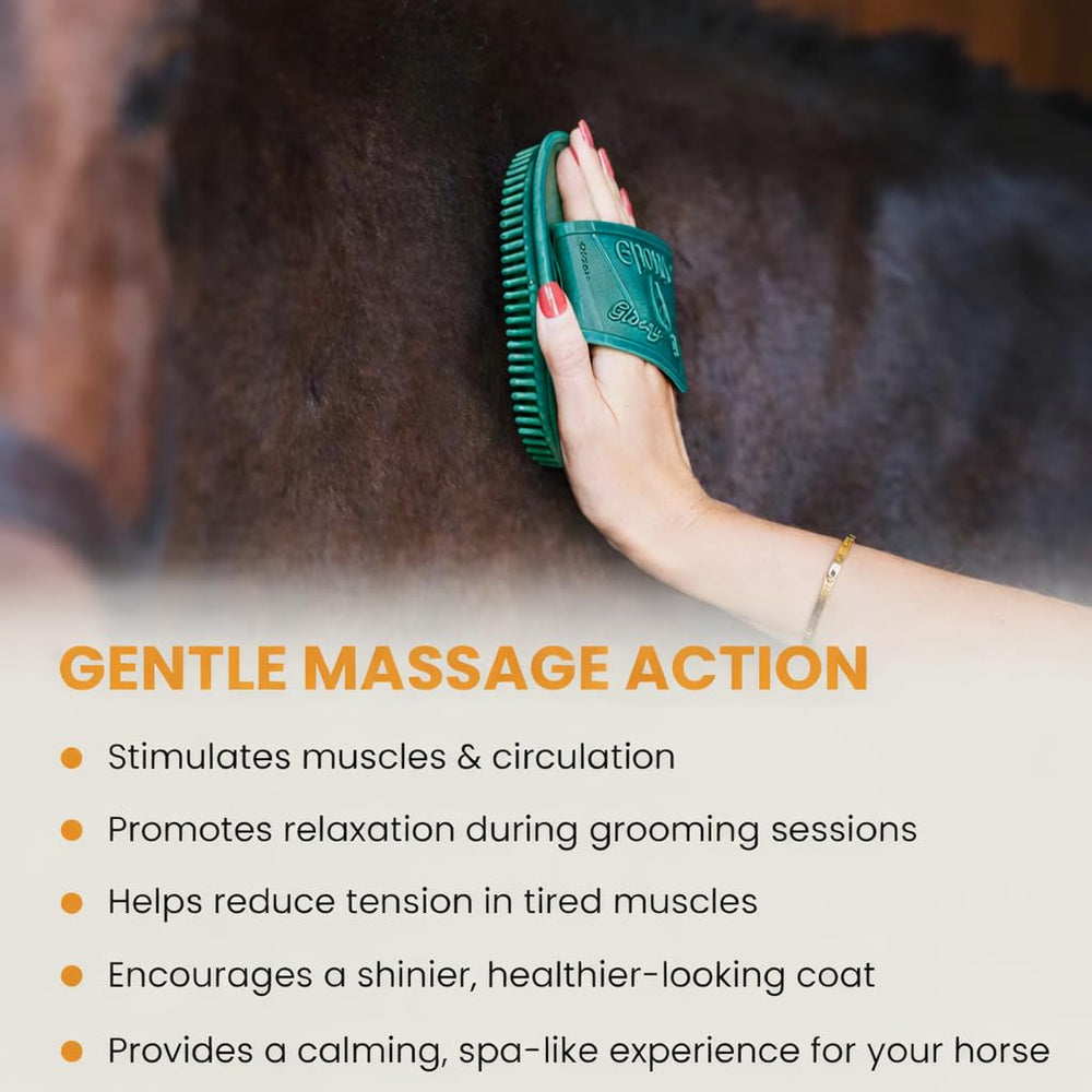 Epona taille comparaison dans trousse montrant compacité et portabilité