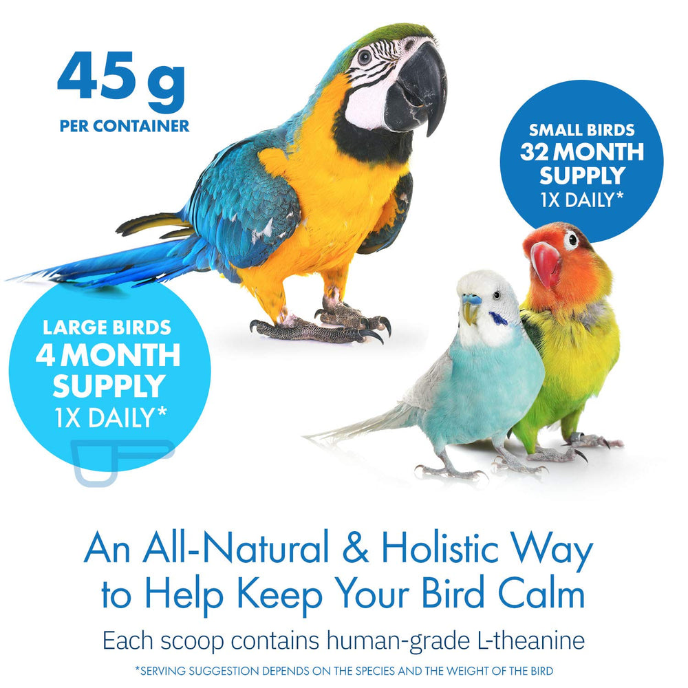 Poudre Avian Calm d'Equa Holistics saupoudrée sur croquette, facilite l'administration quotidienne