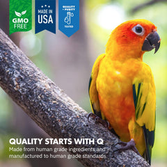 Doseur et contenu du pot Equa Holistics Avian Calm prêts pour une portion précise