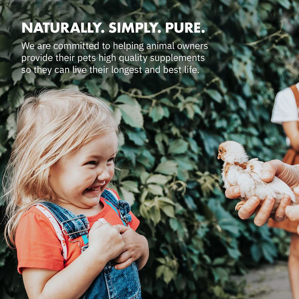 Equa Holistics poules en basse-cour intégré HealthyGut pour bien-être digestif