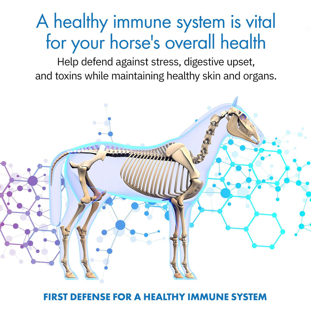 Equa Holistics cuillère doseuse HealthyGut pour dosage facile et précis