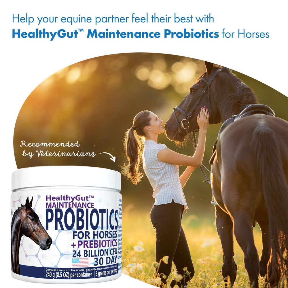 Equa Holistics étiquette HealthyGut listant probiotiques et inuline naturels