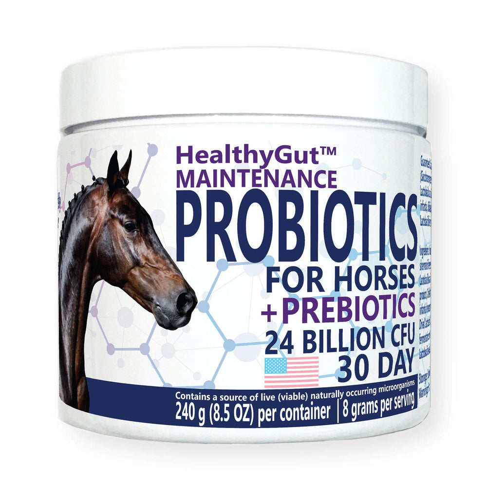 Equa Holistics paquet HealthyGut face montrant présentation et avantages