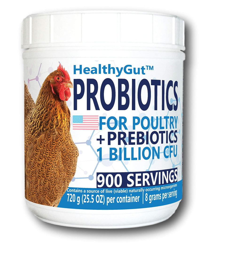 Equa Holistics pot HealthyGut en gros plan montrant l'emballage et usage pratique