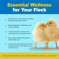 Gros plan de la poudre Equerry's Flock PRO Chick Boost mettant en valeur texture fine pour dissolution rapide