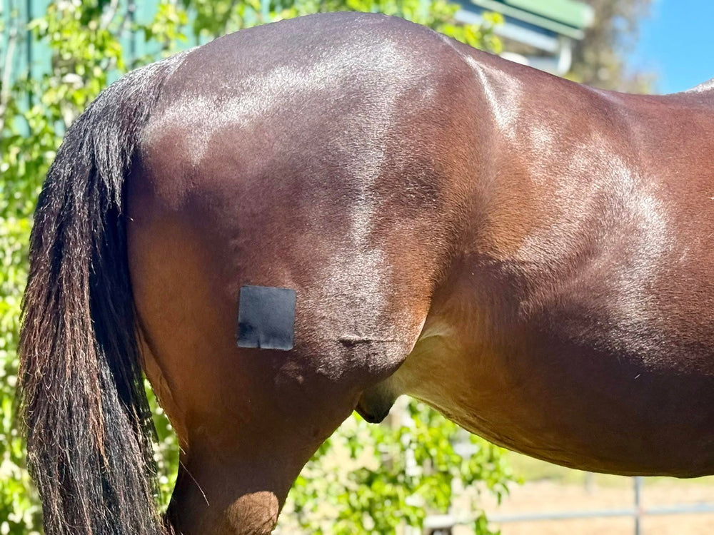 EQUI-FIXT longueur rectangulaire déployée couvrant une grande zone