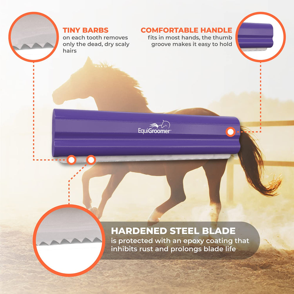 EquiGroomer brosse en action sur cheval facilite toilettage en écurie