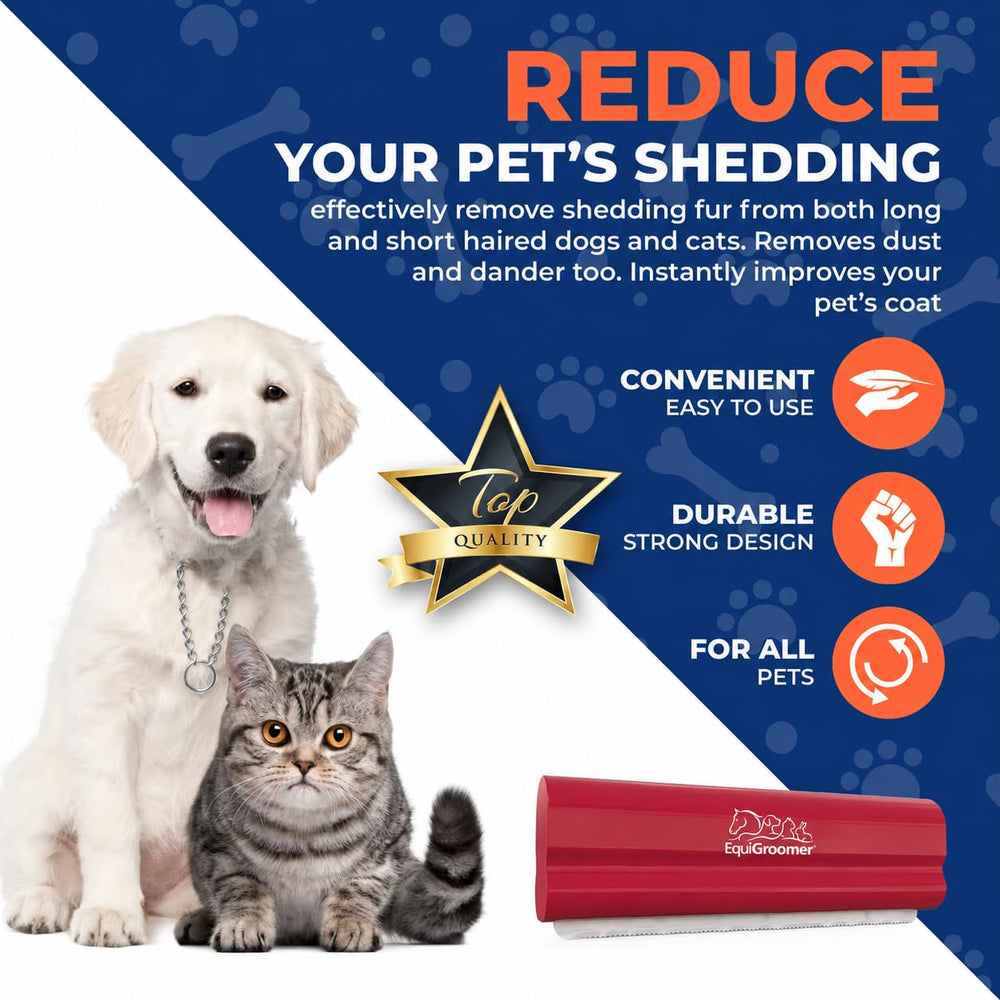 EquiGroomer en usage sur petit chien, atteint poches difficiles comme les pattes