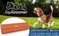 EquiGroomer lame en acier inoxydable gros plan montrant les dents et durabilité