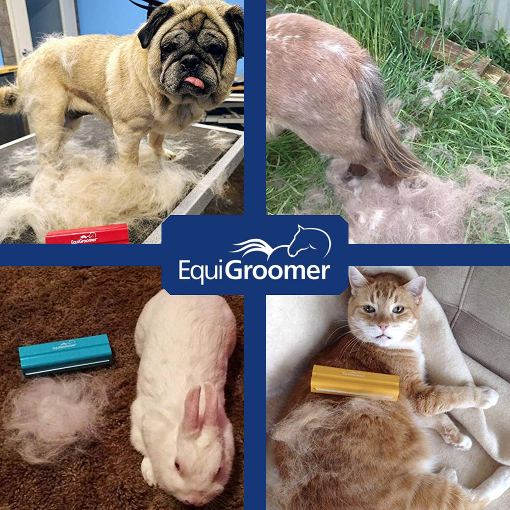 EquiGroomer dents arrondies texture rapprochée minimise accrocs et irritations
