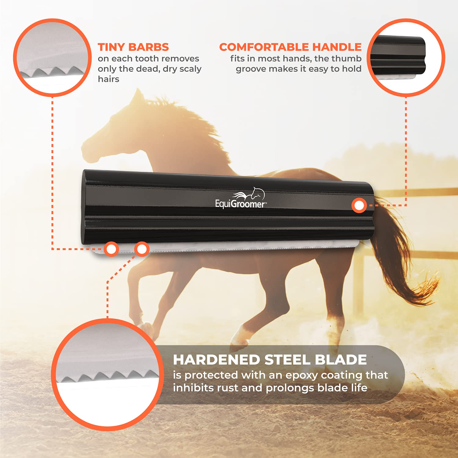 EquiGroomer brosse utilisée sur cheval enlève poils lâches efficacement