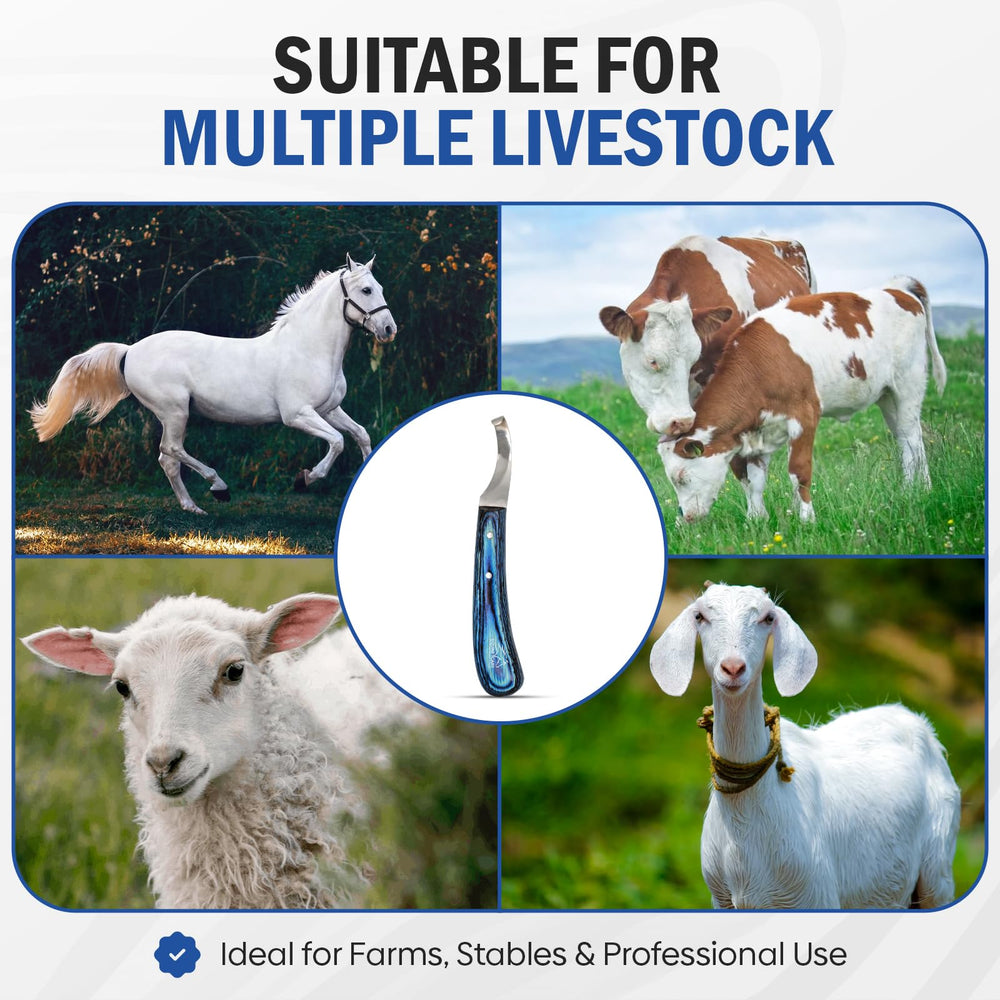 Equine Care dans un environnement d’élevage, outil polyvalent et fiable