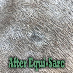 Equine Veterinary Essentials application avec main gantée montrant soin hygiénique