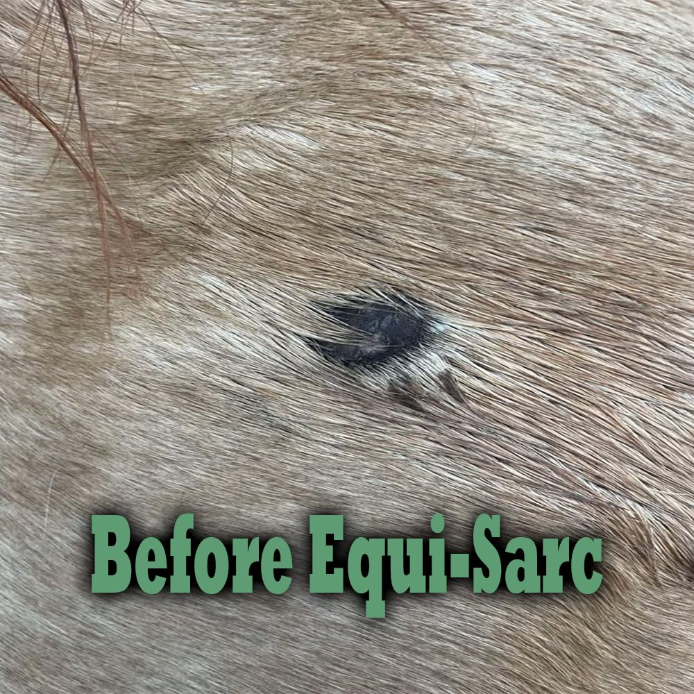 Equine Veterinary Essentials pot ouvert montrant texture crème facile à étaler