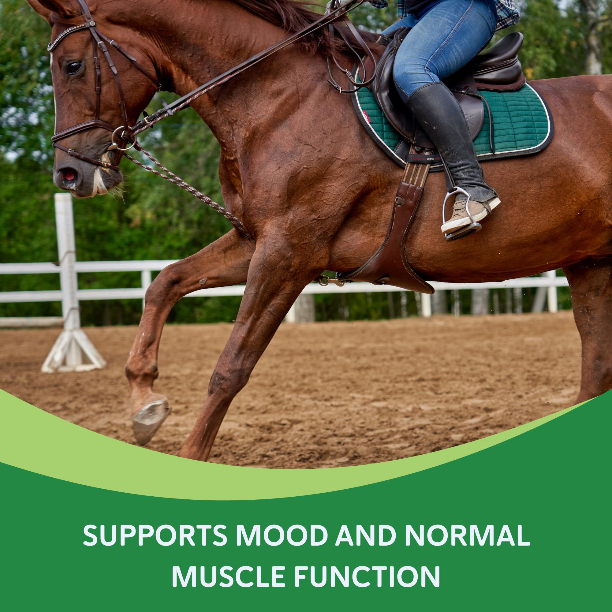 Equine Medical HAPP-E-MARE gros plan poudre fine illustrant mélange facile et appétence