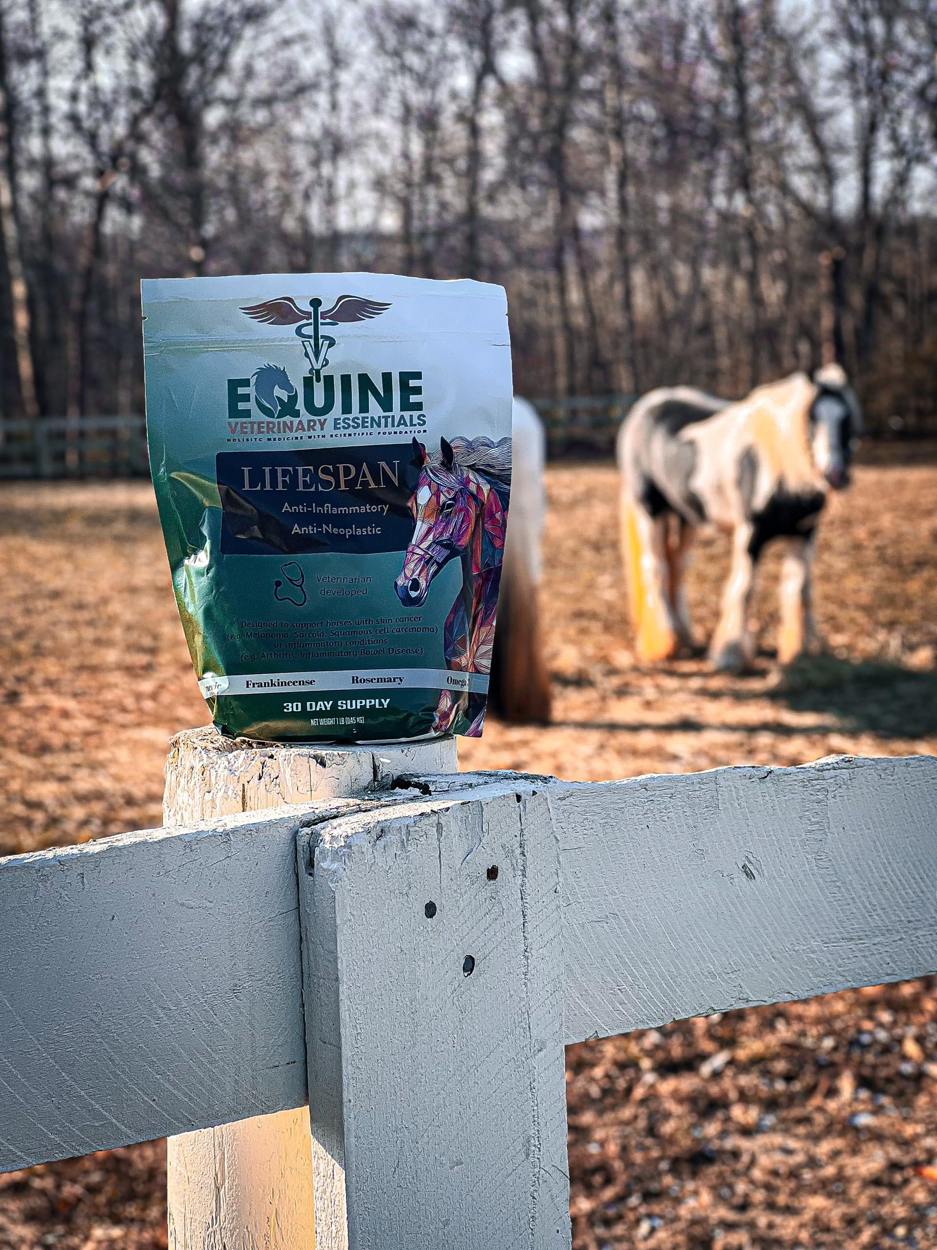 Étiquette Lifespan Equine listant ingrédients clés pour transparence produit