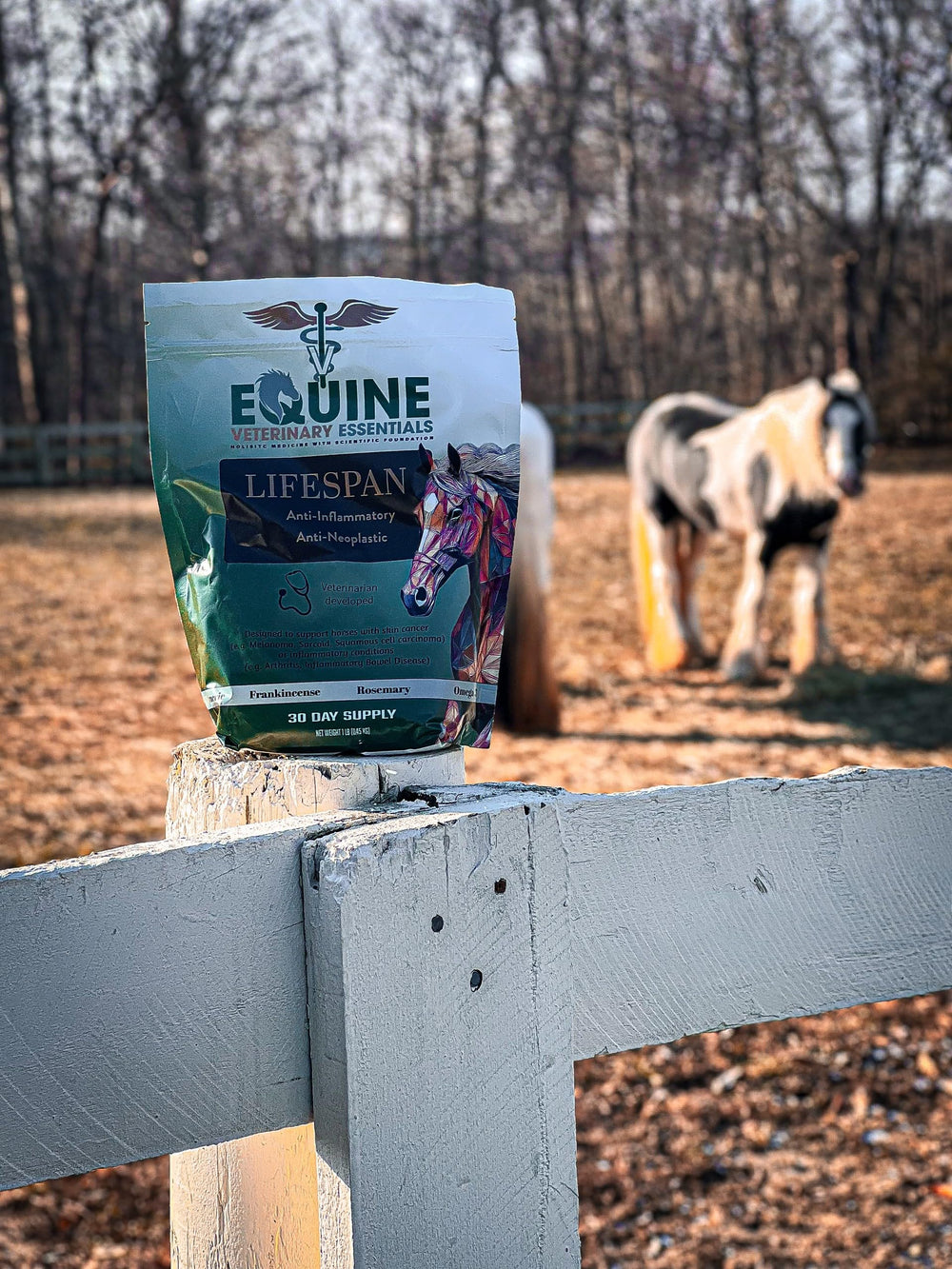 Étiquette Lifespan Equine listant ingrédients clés pour transparence produit