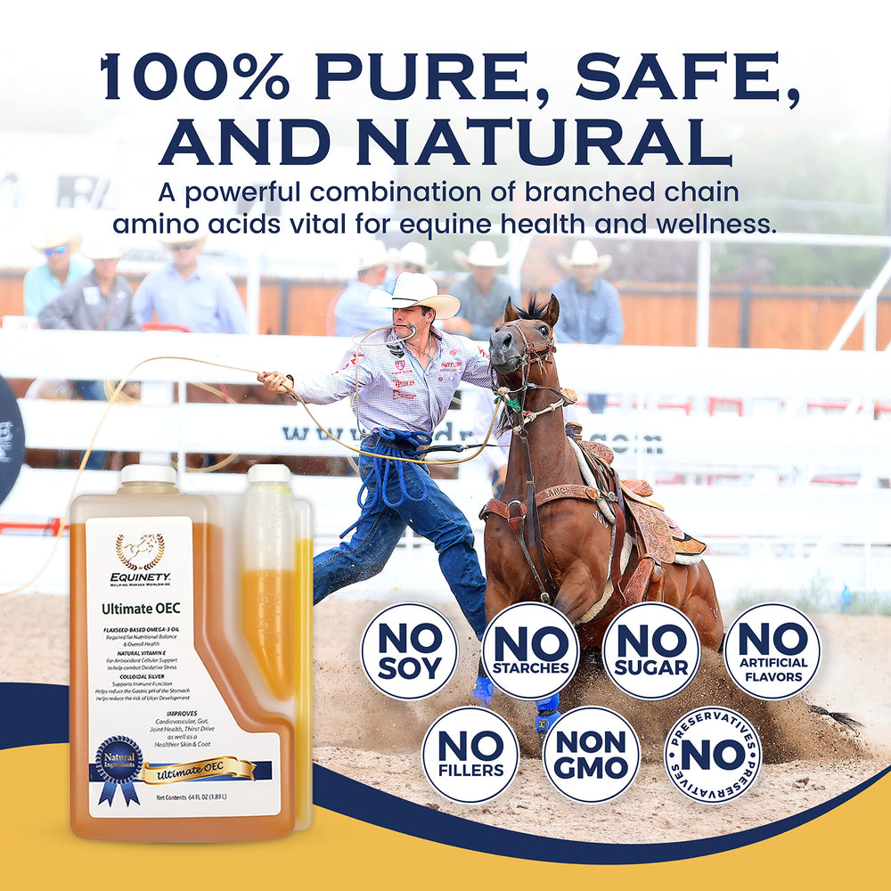 Application autour du sabot avec Equinety suggérant soutien et soin des sabots