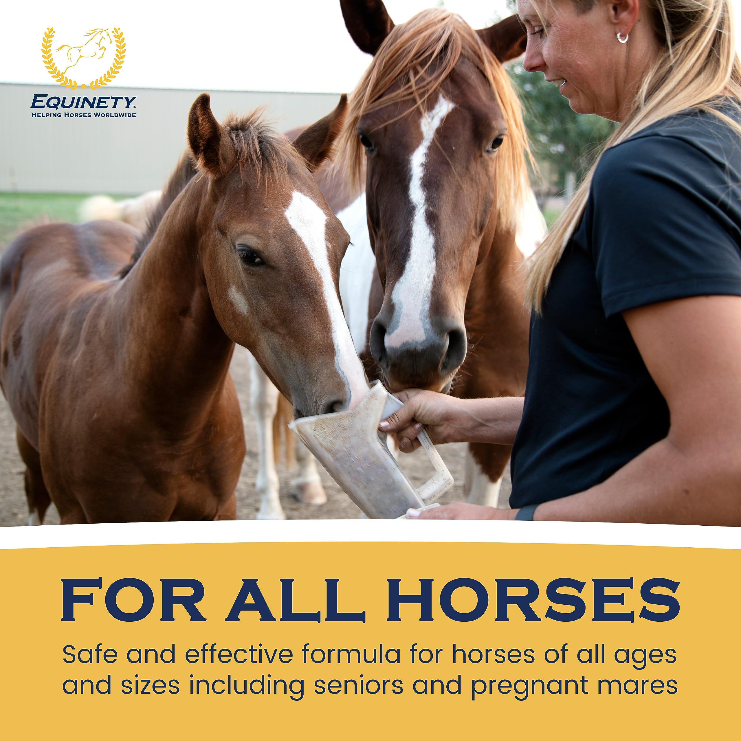 Cheval en activité après supplémentation Equinety Horse XL performance et tonicité