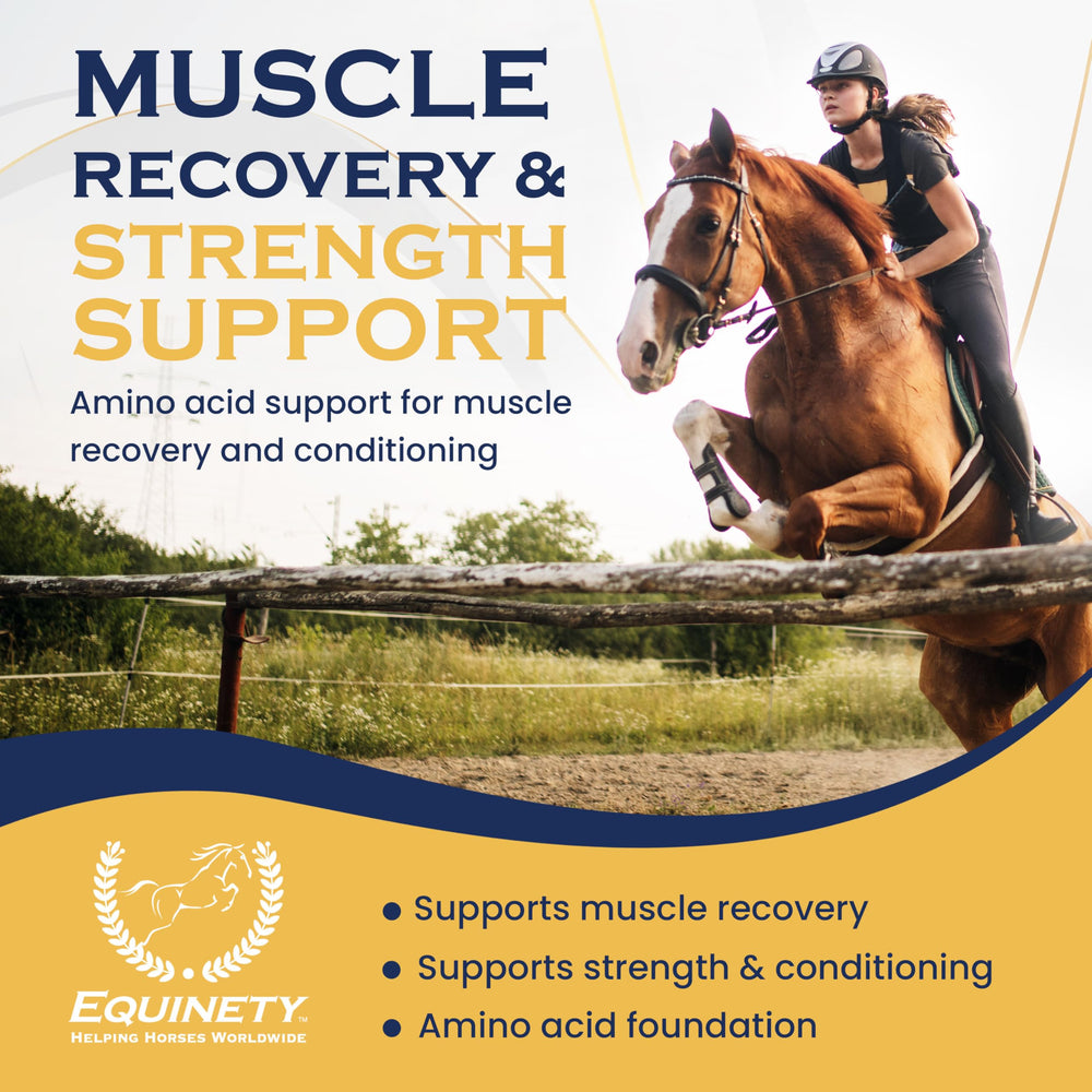 Cuillère-mesure Equinety Horse XL prête à ajouter à la ration pour facilité d'utilisation