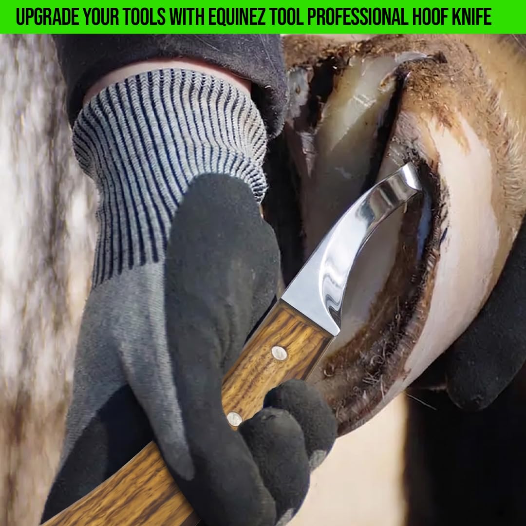Equinez Tools en usage parage sur sabot montrant précision et contrôle