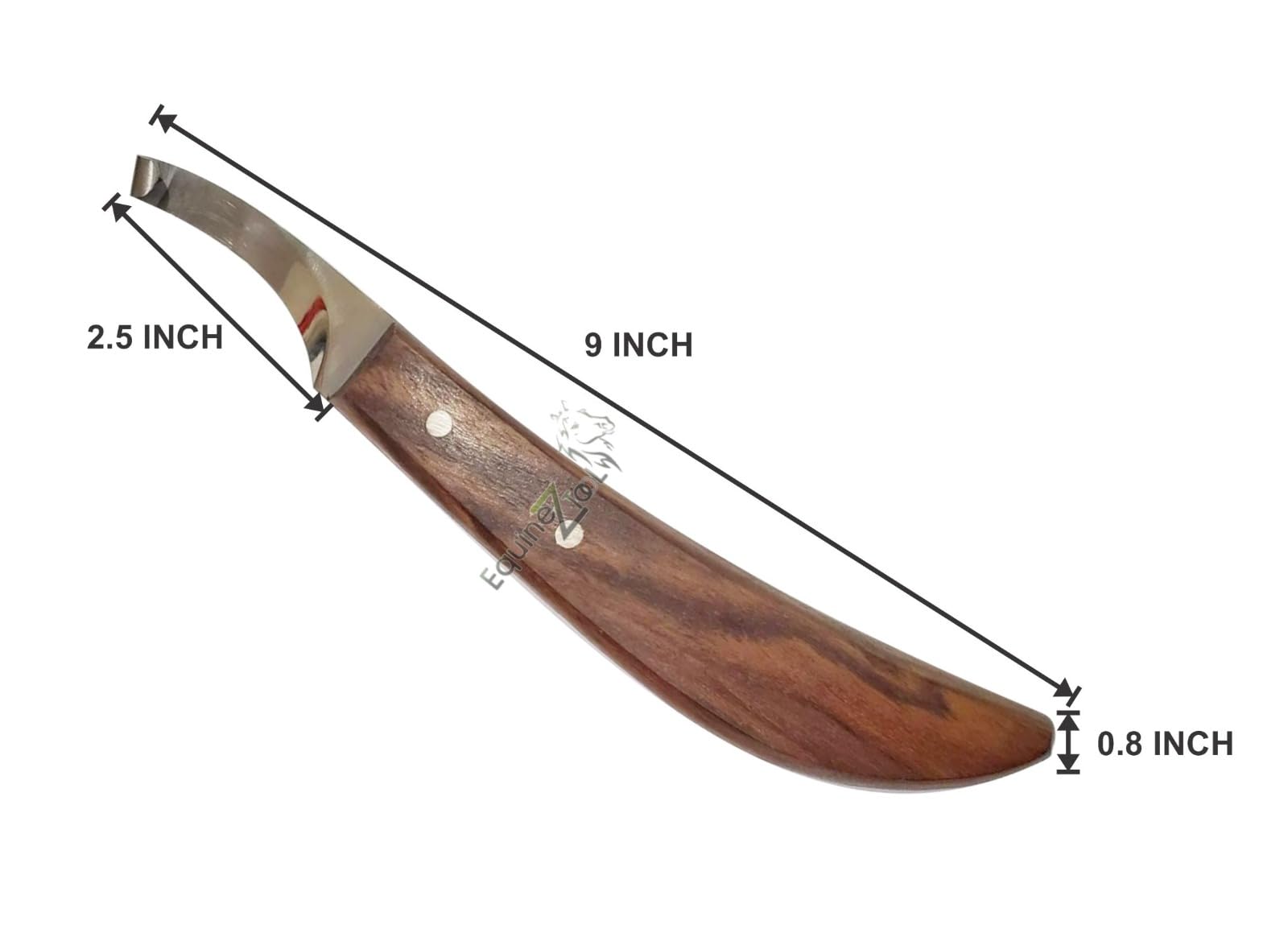 Equinez Tools détail lame montrant résistance à la corrosion et durabilité