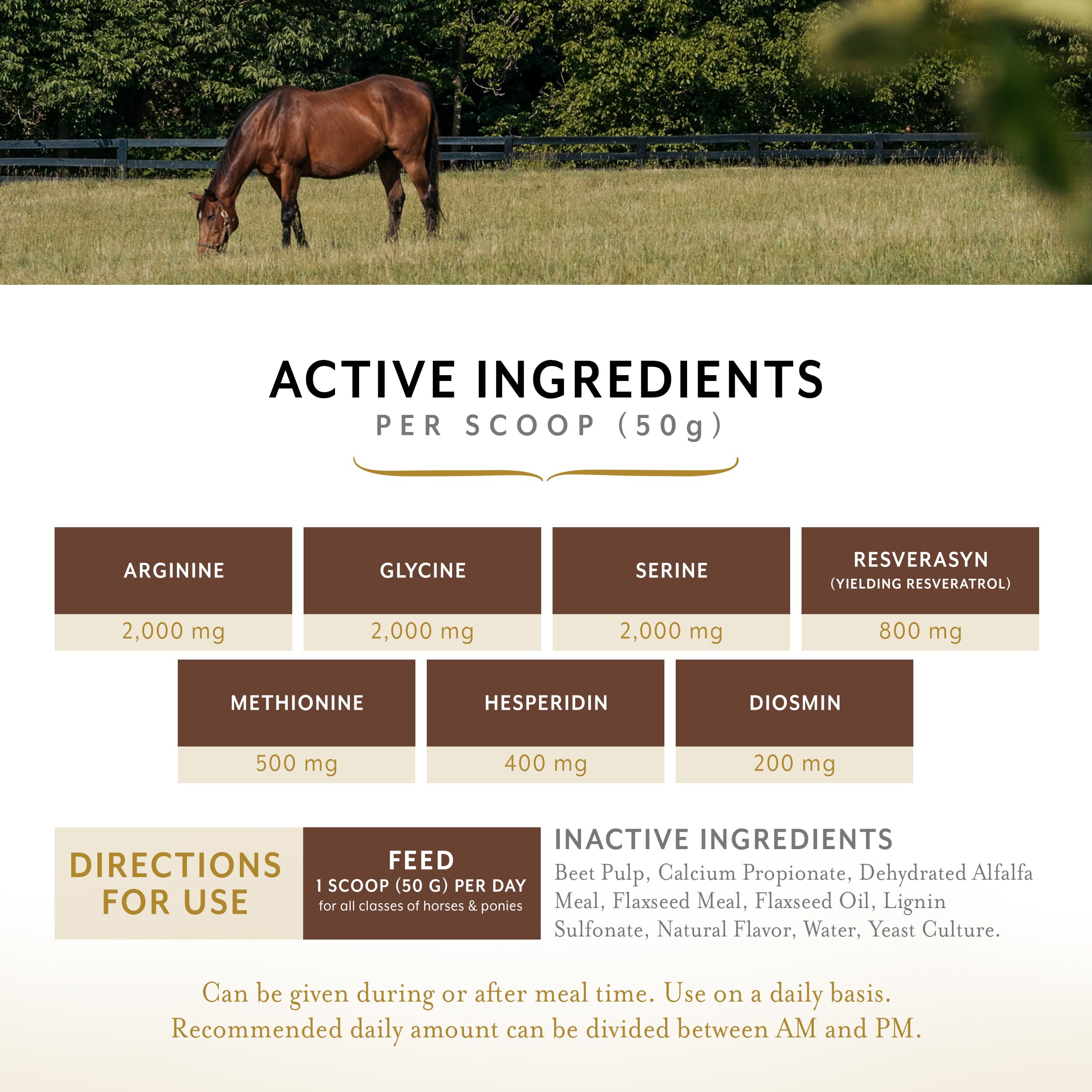 Equithrive MetaCare cheval consommant la ration, bénéfice contrôle du poids
