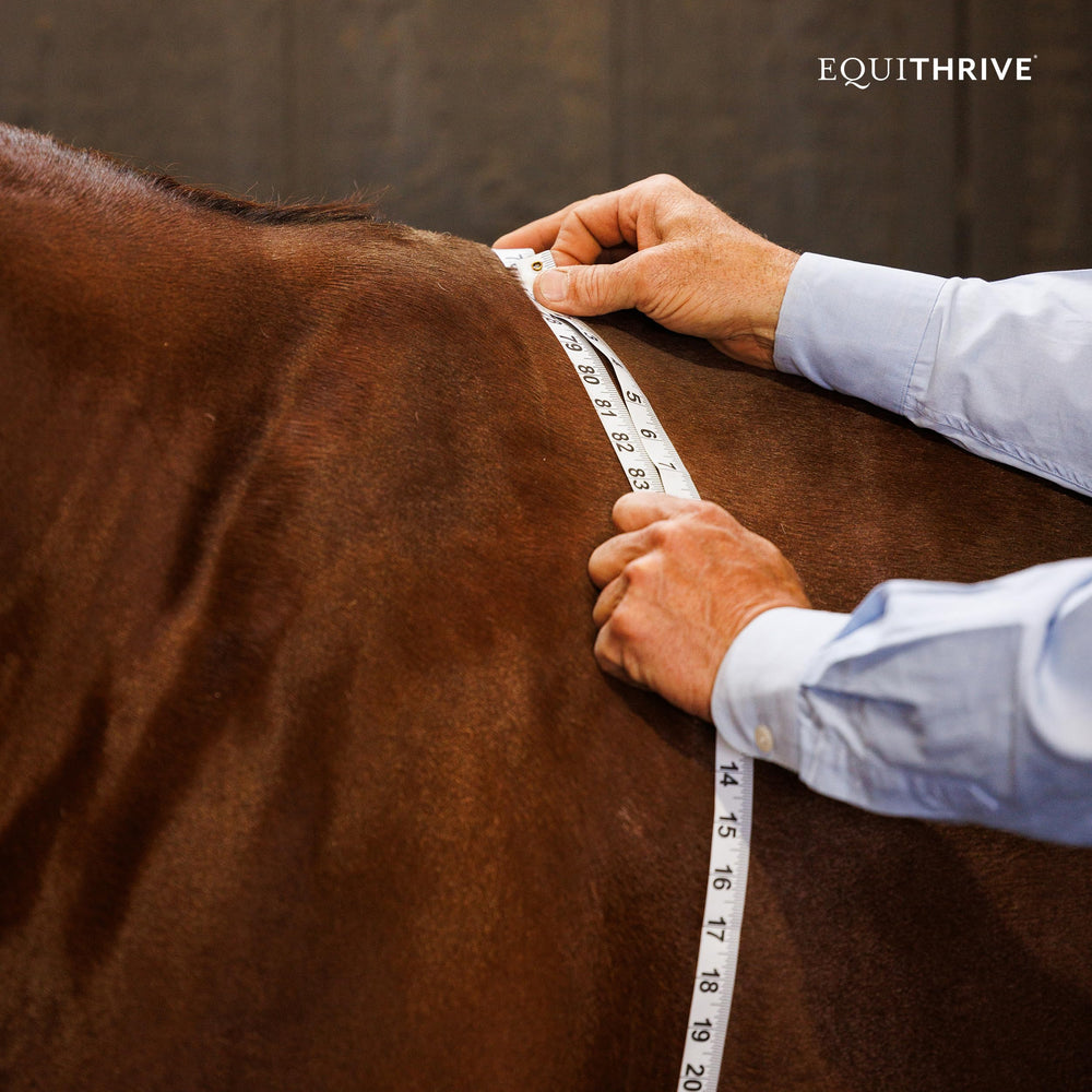 Equithrive MetaCare comparaison taille pot pour évaluer quantité pratique