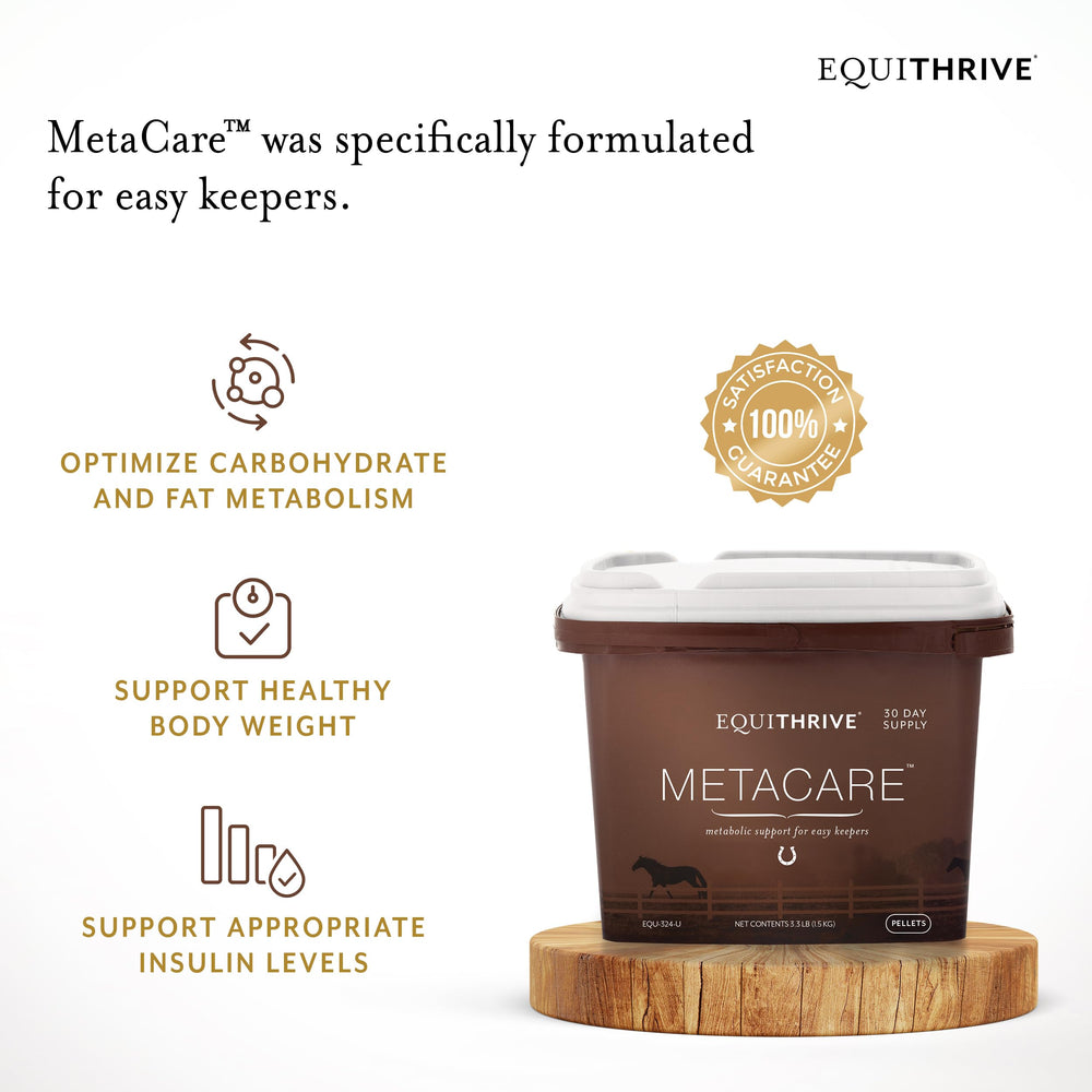 Equithrive MetaCare gros plan des granulés, texture facile à mélanger