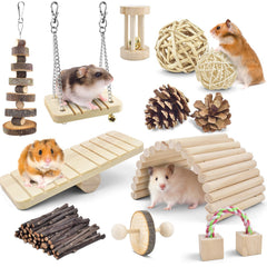 ERKOON paquet face avant montrant 12 jouets pour stimulation