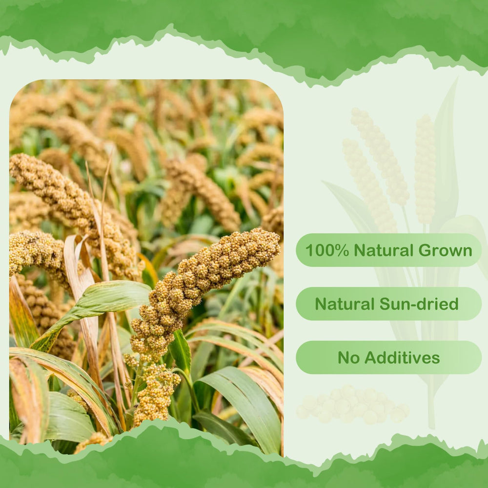 ERKOON grappes de millet gros plan montrant texture naturelle et attractivité