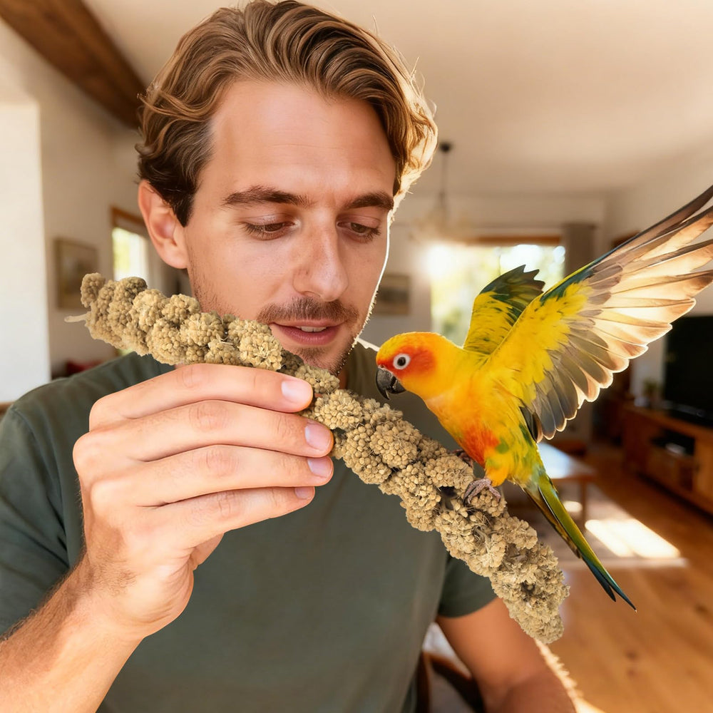 ERKOON mise en scène nature montrant le millet séché au soleil et aspect sain