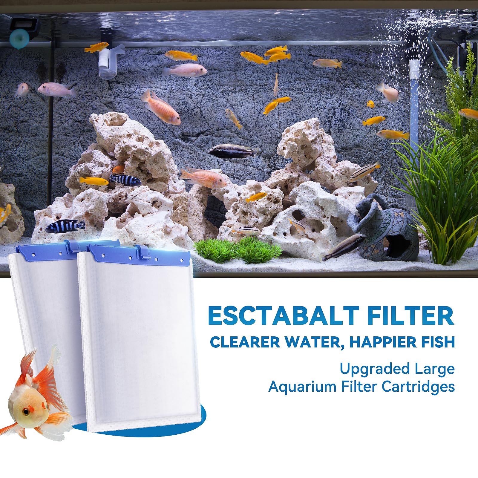 Esctabalt mise en scène entretien rapide d'aquarium pour détente et gain de temps