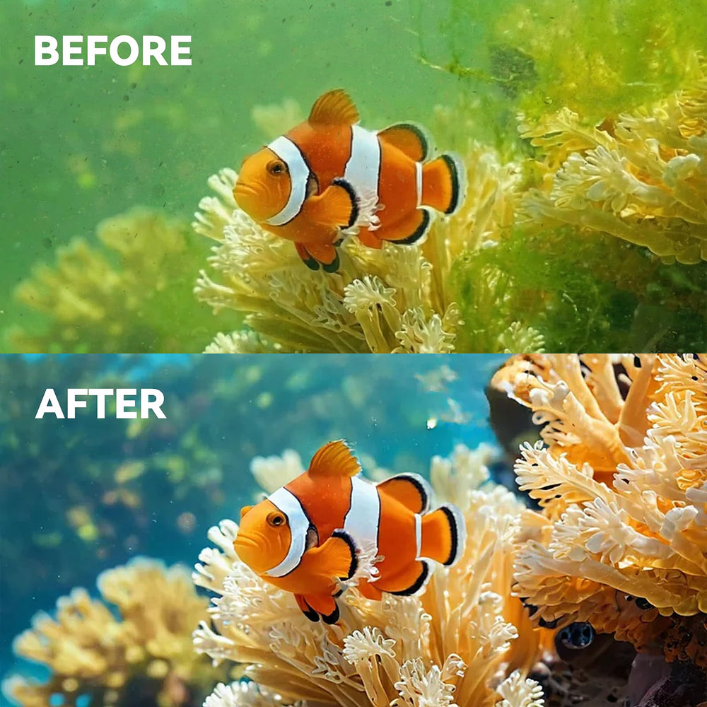 Esctabalt cartouche en usage dans aquarium tropical améliorant la clarté de l'eau
