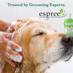 Espree gros plan du gicleur et texture de la brume bénéfice application contrôlée