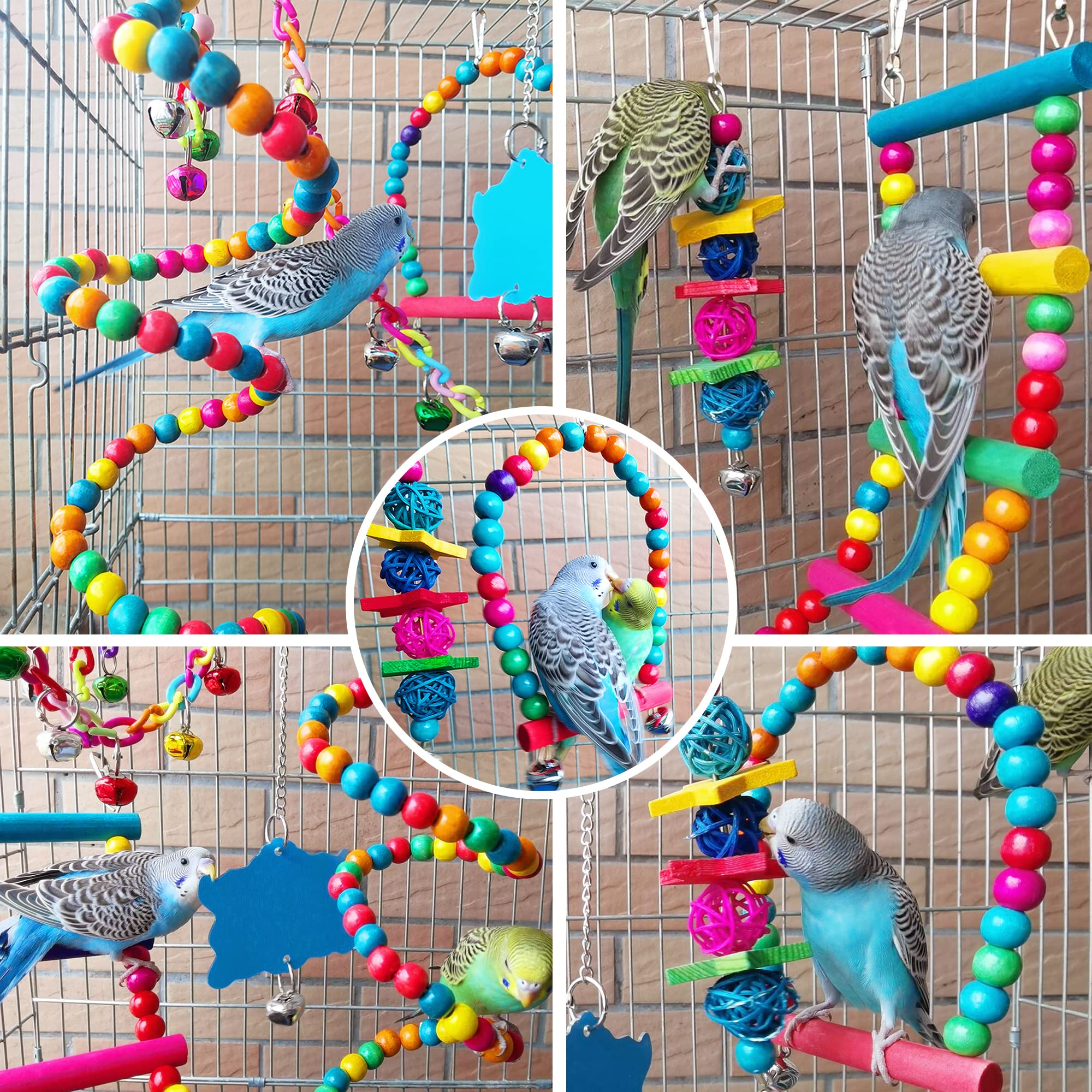 ESRISE composition dans cage lifestyle avec perruche, installation réaliste et décorative