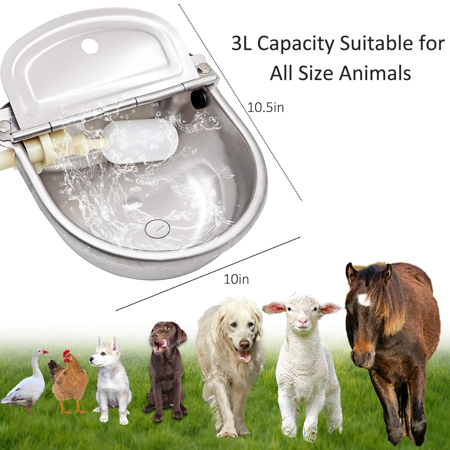 Essilnn comparaison taille avec chien illustrant capacité pour gros animaux