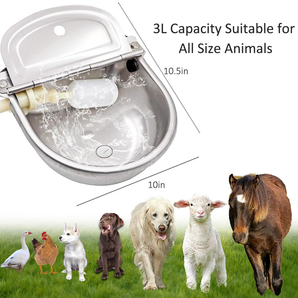 Essilnn comparaison taille avec chien illustrant capacité pour gros animaux