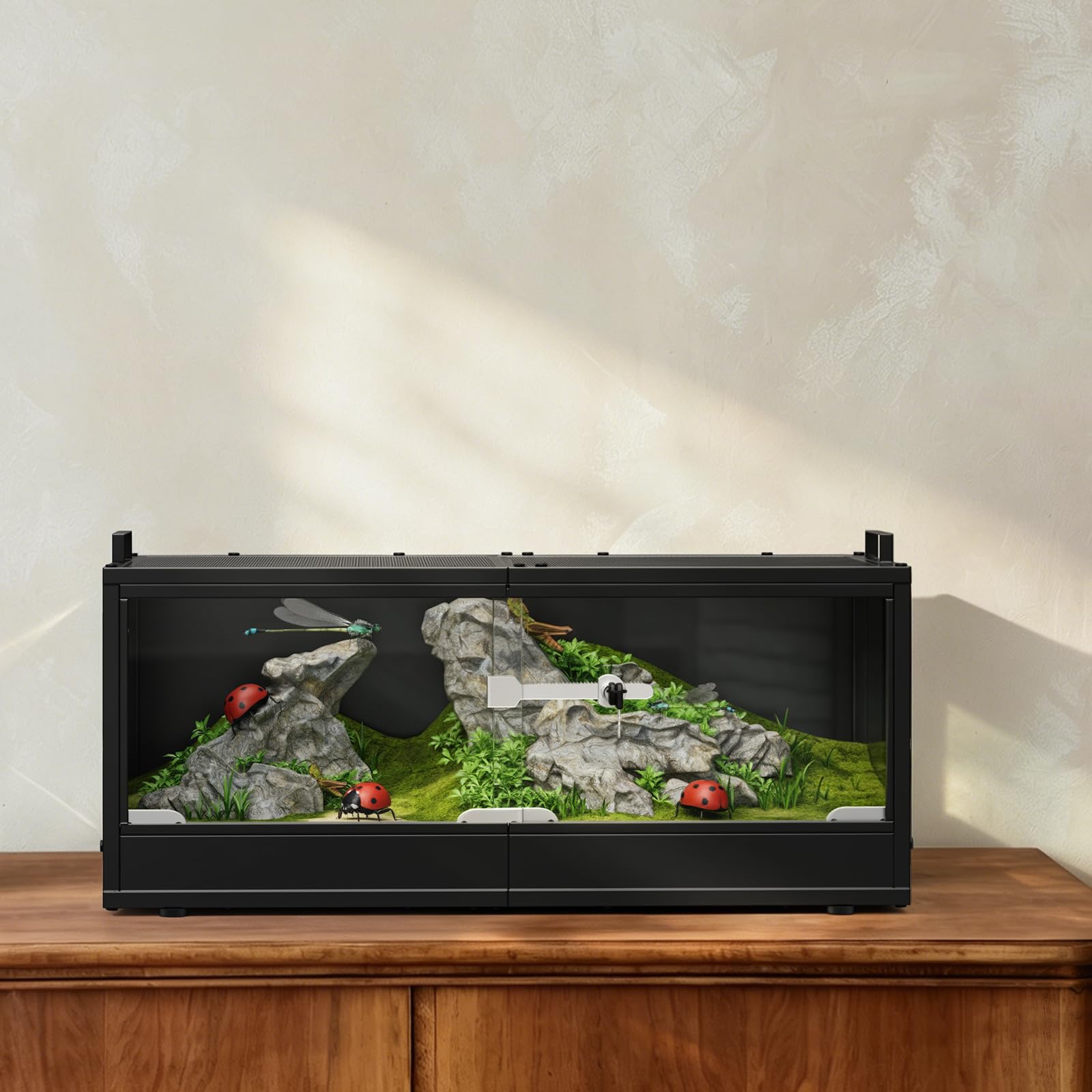 ETELI terrarium en situation intérieure décoré pour confort animal