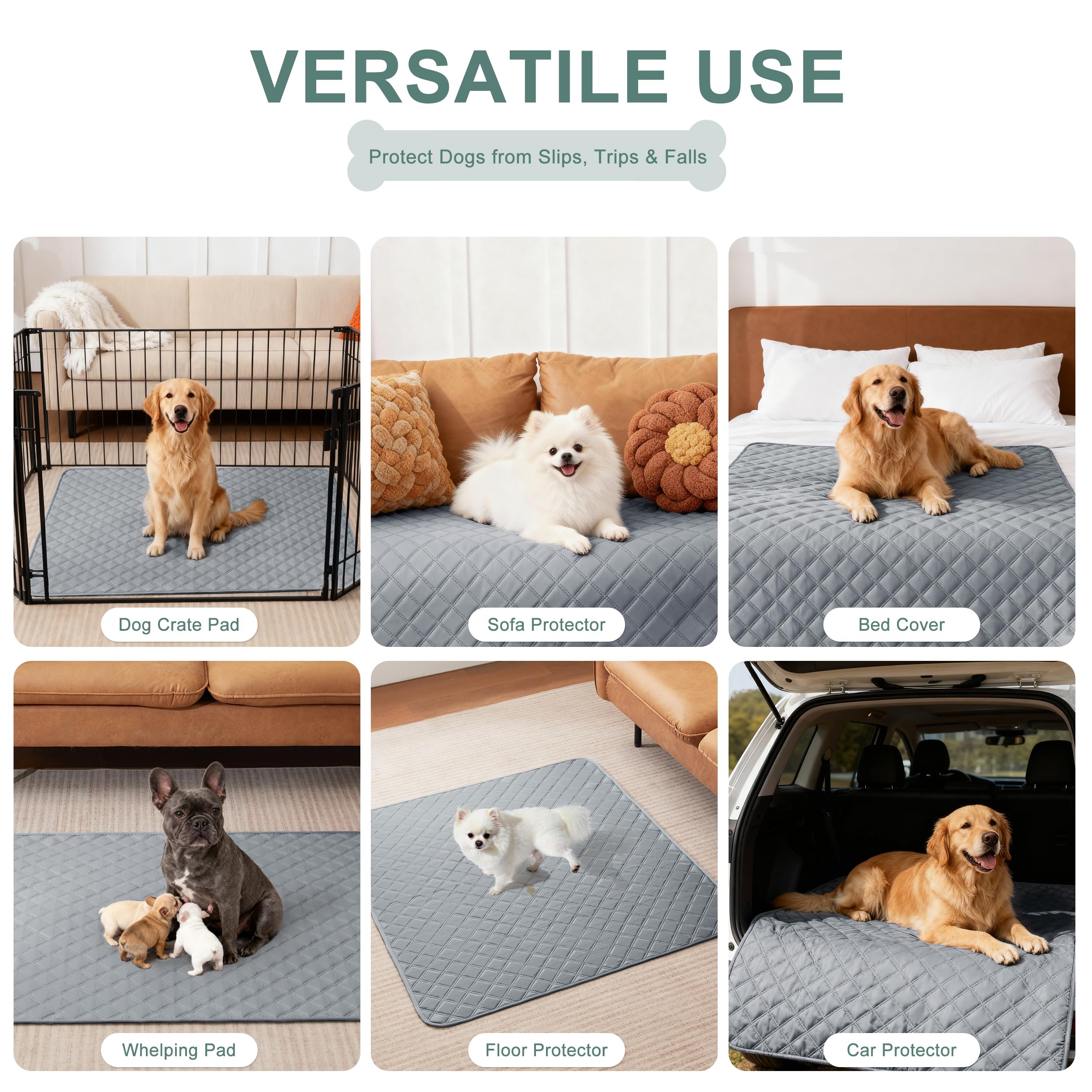 Eterish comparaison taille avec chien grand montrant couverture complète