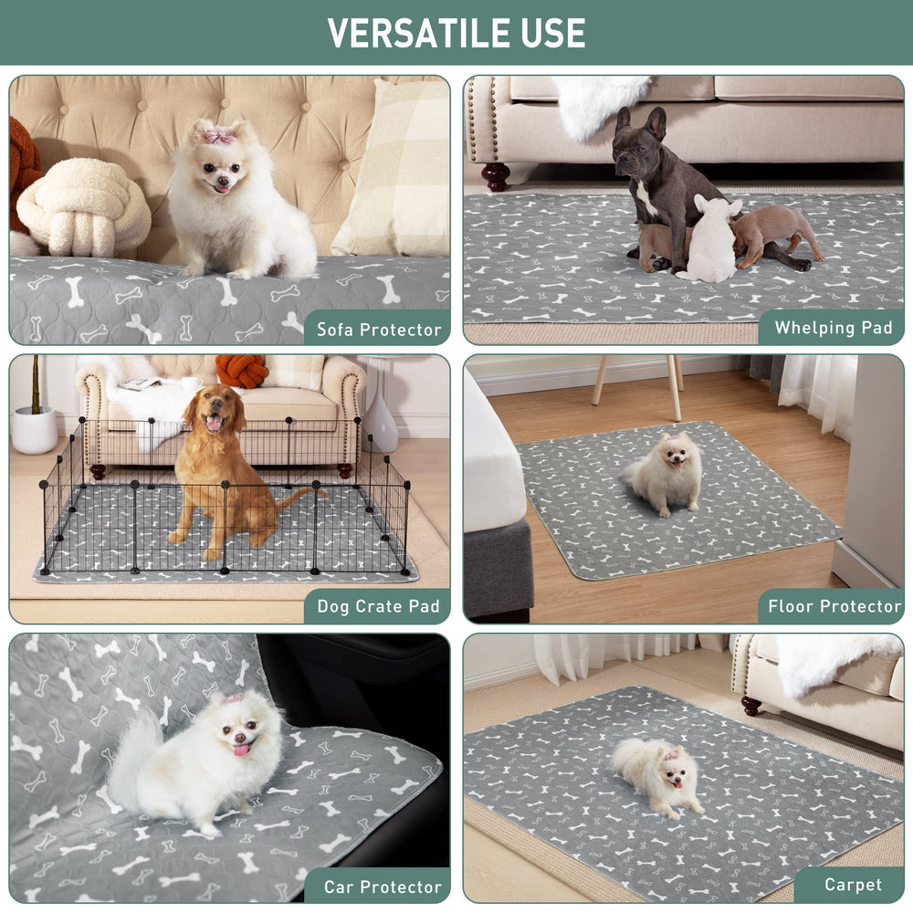 Eterish comparaison taille montre couverture adaptée grands chiens