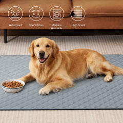Eterish gros plan tissu supérieur doux pour confort du chien