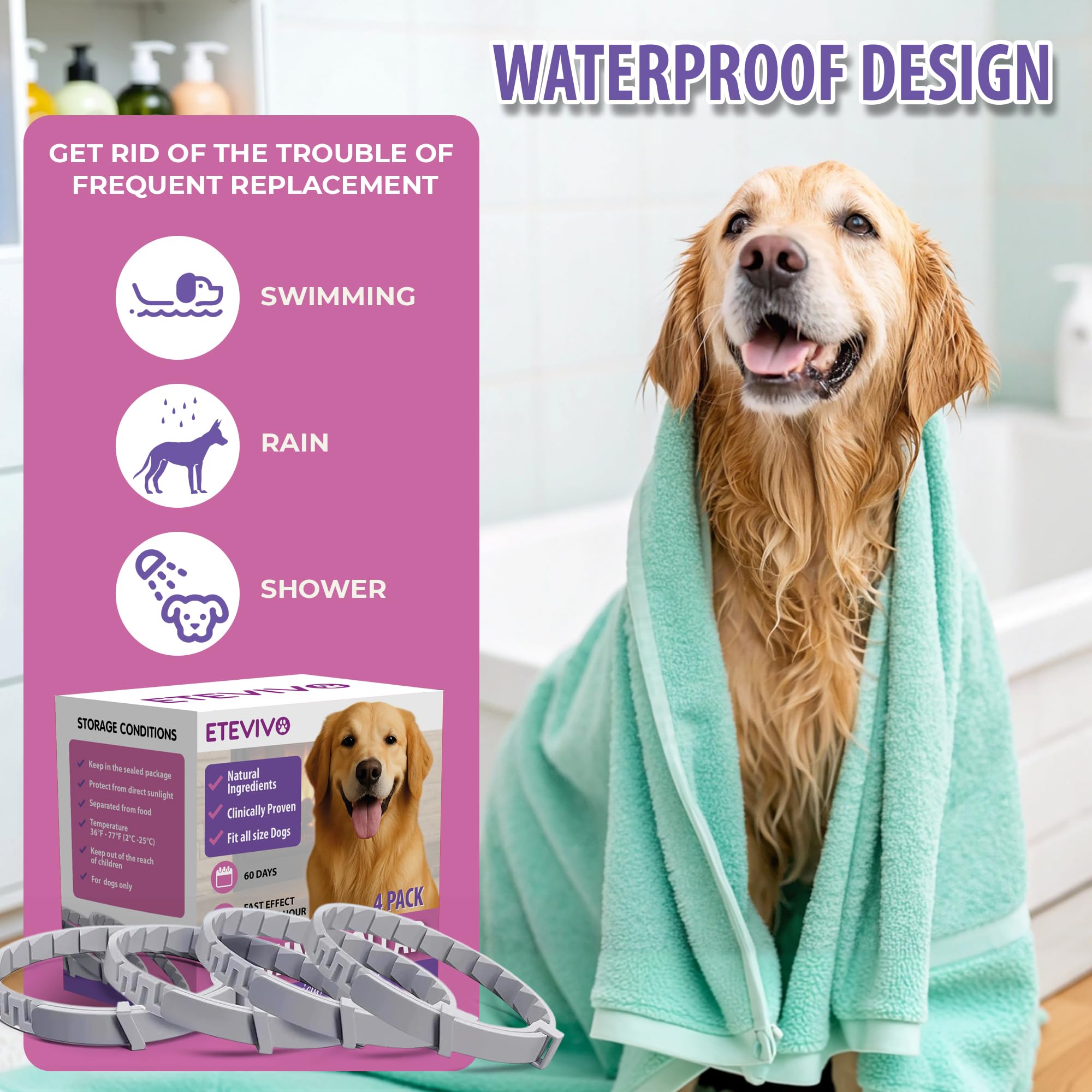 ETE VIVO mise en scène salon chien détendu suggère routine apaisante