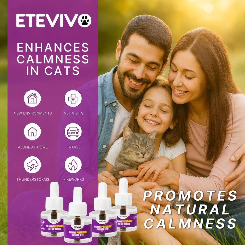 ETE VIVO comparaison taille pour apprécier encombrement discret et compatibilité