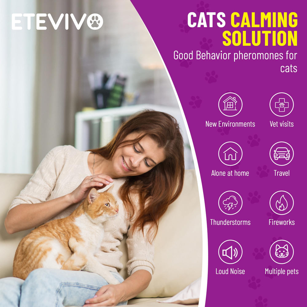 ETE VIVO pack 4 recharges étalage offrant confort long durée